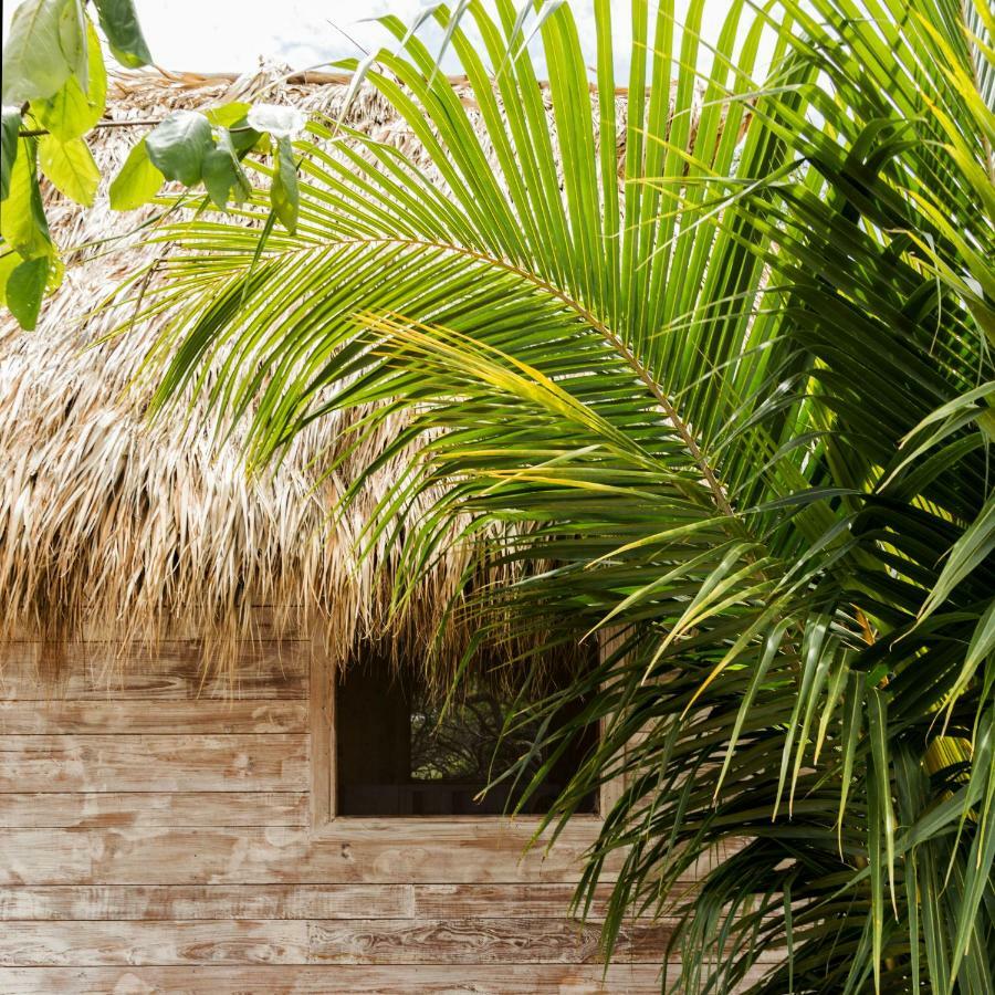 Suyo Cabanas Popoyo | Hotel Suyo El Limón Buitenkant foto